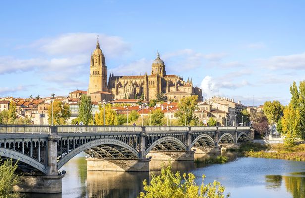 Panoramic Salamanca guided tour