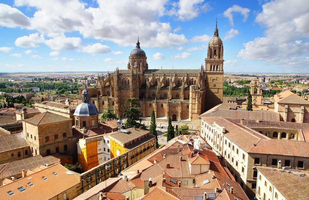 Panoramic Salamanca private guided tour