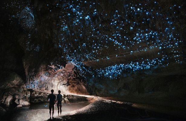 Te Anau Glowworm Caves