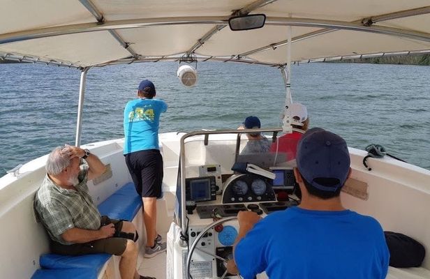 Delta del Ebro Natural Park 4x4 tour with boat ride