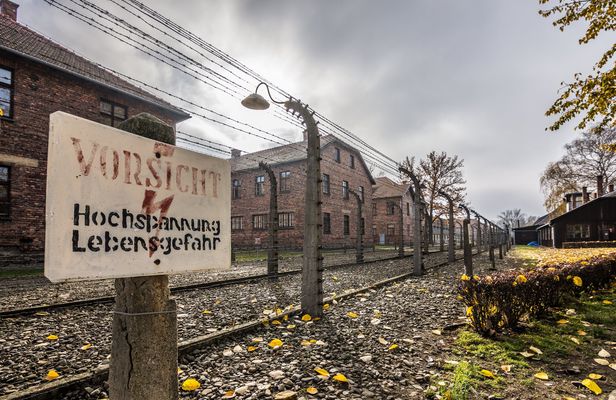 Auschwitz-Birkenau Memorial Museum fast-track entry and guided tour