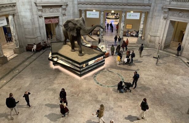 Washington DC Smithsonian National Museum of Natural History tickets and guided tour