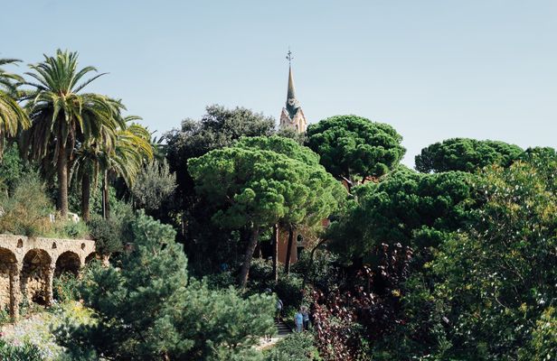 Skip-the-line Park Guell and Sagrada Familia guided tour