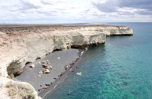 Puerto Madryn private tour and Punta Loma sea lions reserve visit