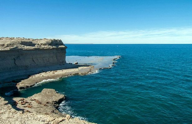 Tour of Pirámides Port and boat experience in Puerto Madryn