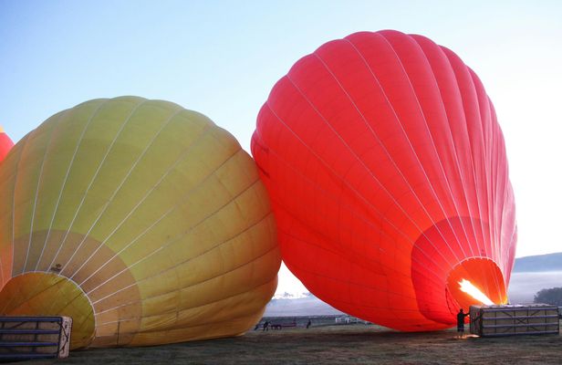 Gold Coast classic ballooning and vineyard champagne breakfast