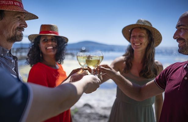 Oyster and wine tasting tour for small groups starting from Montpellier
