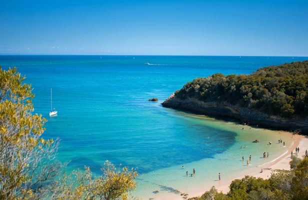 Arrábida snorkeling tour and wine tasting from Lisbon