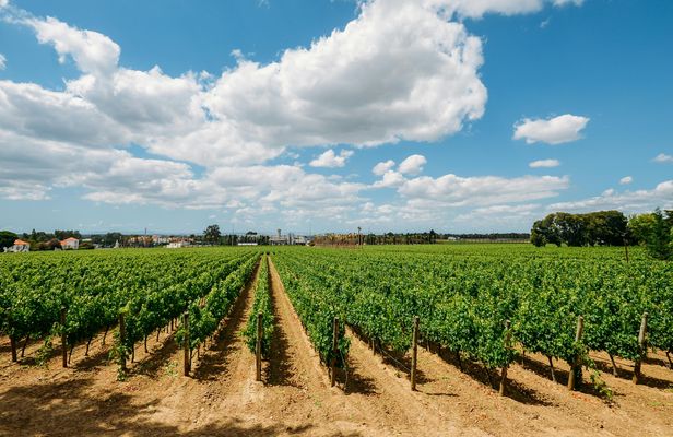 South of Lisbon guided tour with wine tasting