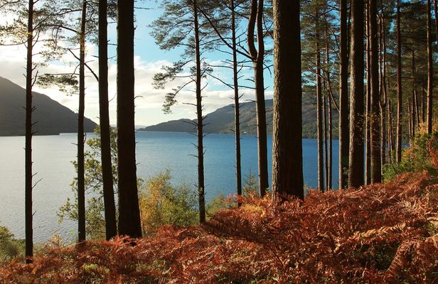 Loch Lomond and whisky small-group day tour from Glasgow