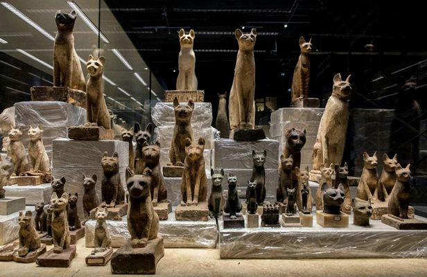 Sharm City Tour with the Antiquity Museum