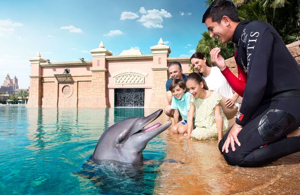 Dolphin meet and greet at Atlantis Dubai