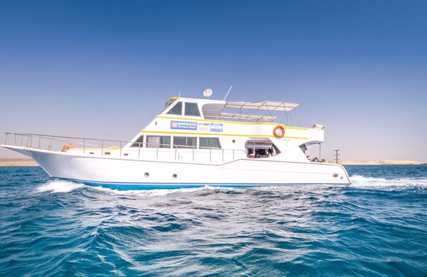 Private boat and snorkeling trip in Marsa Alam with lunch