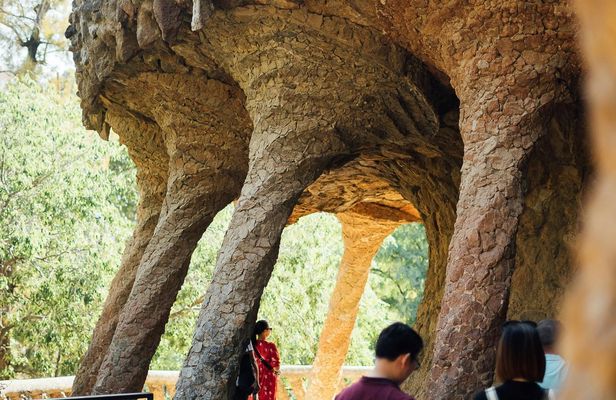 Private Park Güell and Sagrada Familia guided tour