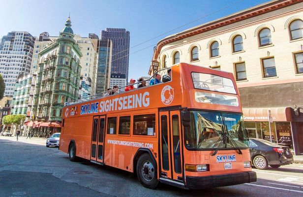 San Francisco bay cruise and double-decker night tour