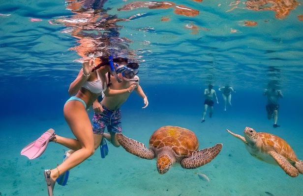 Oahu ultimate circle island tour