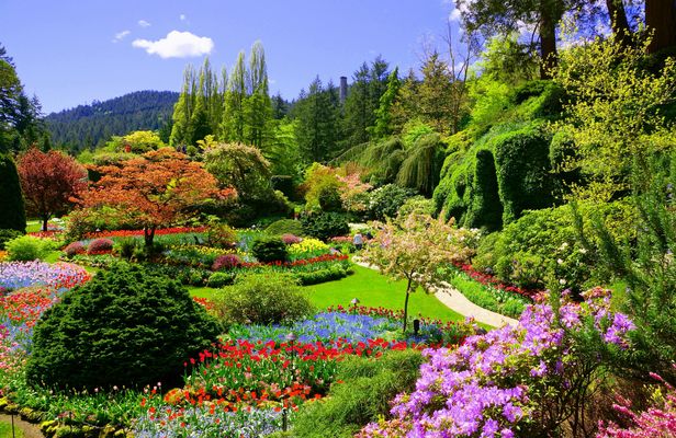 Sightseeing tour of Victoria and Butchart Gardens from Vancouver