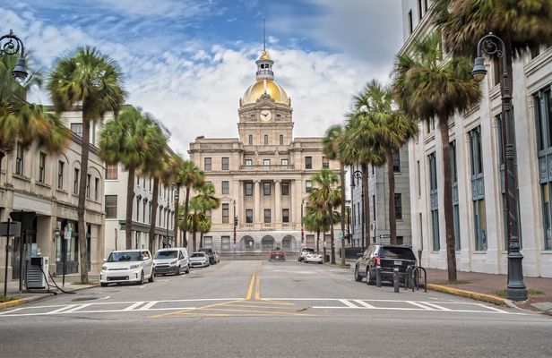Savannah 360° panoramic tour in open-air minibus