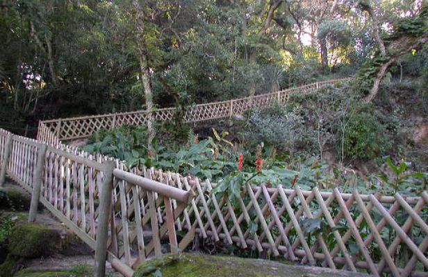 Sintra romantic gardens electric car tour
