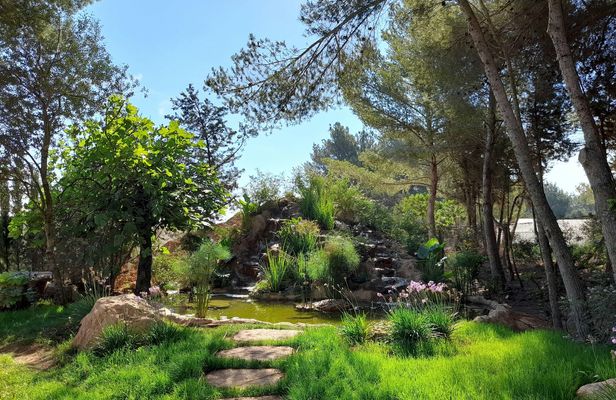 Ibiza Biotechnological Botanical Garden Ticket