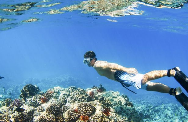 Blue Lagoon snorkeling and Lempuyang temple tour