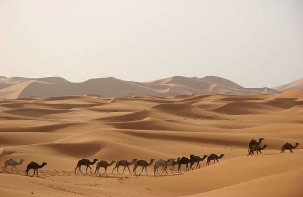 Fes to Marrakech 3-days and 2-night desert tour