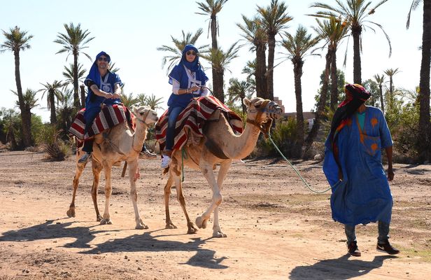 Palmeraie camel ride from Marrakech with tea break