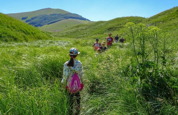 Peaceful 4-hour guided hiking tour around Norcia