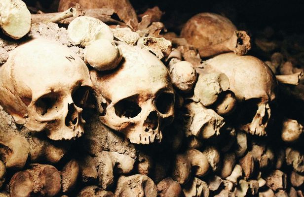 Catacombs of Paris skip-the-line tickets with audio tour on mobile app