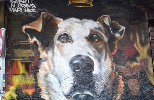 Private guided walking tour of Athens' street art and culture