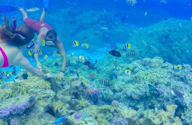 Bora Bora lagoon full-day cruise with barbeque lunch