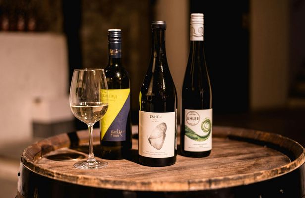 Viennese wine tasting in a roman wine-cellar