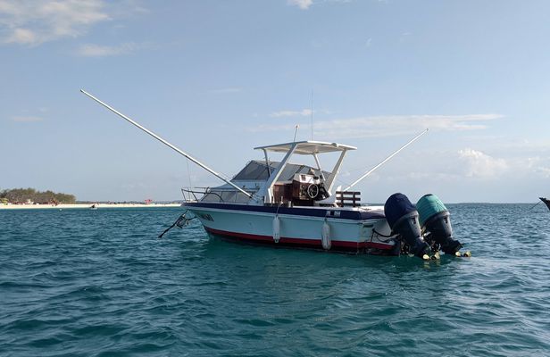 Deep sea fishing full-day tour in Zanzibar
