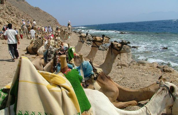 Three Pools snorkeling, 4x4 Oasis safari, camel ride, lunch in Dahab