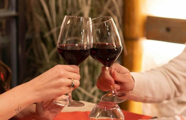 Wine experience with lunch or dinner in a farm vineyard