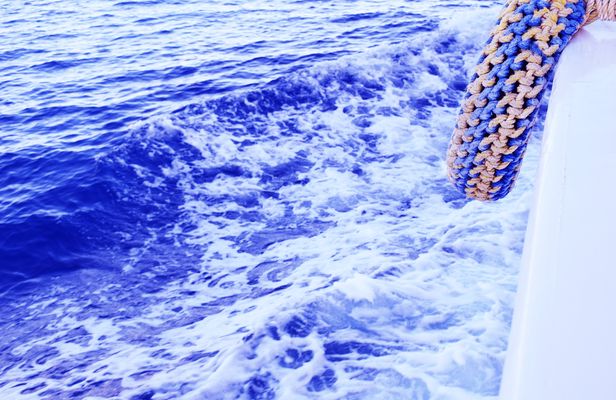 Private boat trip in Sharm El Sheikh with seafood lunch and drinks