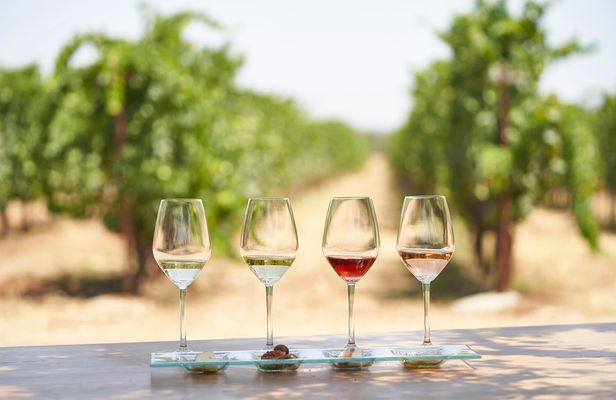 'Enoma wine tasting in Kos
