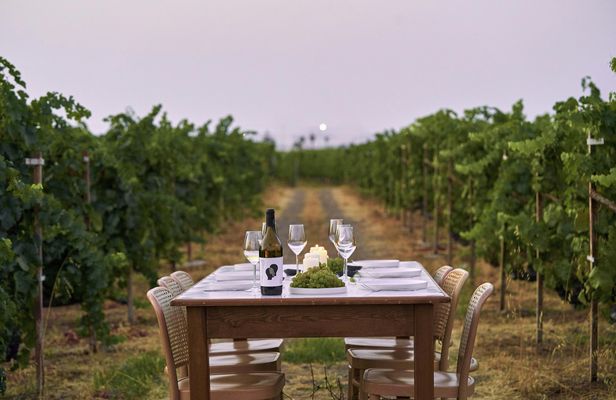 Karpima wine tasting in Kos