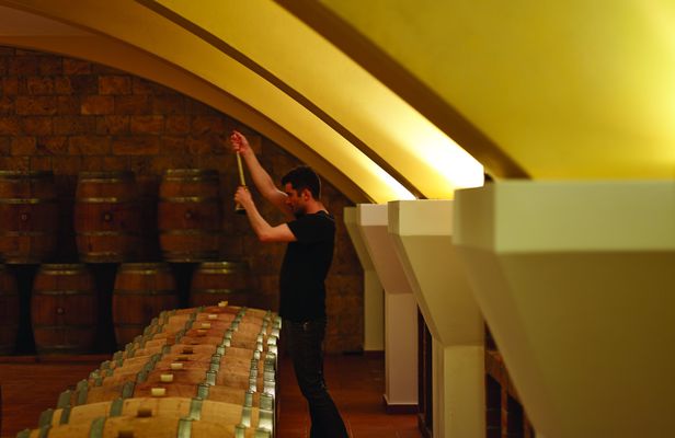 'Echo wine tasting in Kos