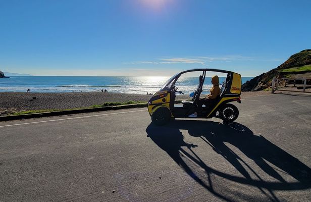 3-hours Sausalito GoCar tour