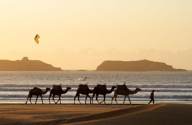 Private day trip to Essaouira from Marrakech