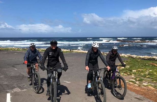 E-bike tour to Cape Point National Park