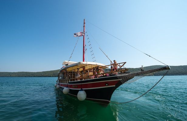 2-hour dolphins and panorama sailing experience from Poreč