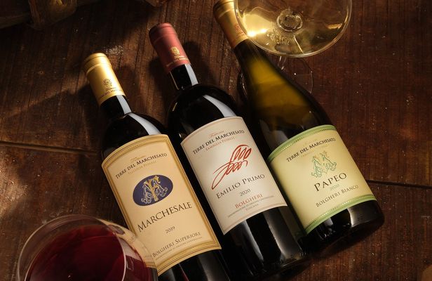 Classic wine tasting at Terre del Marchesato winery
