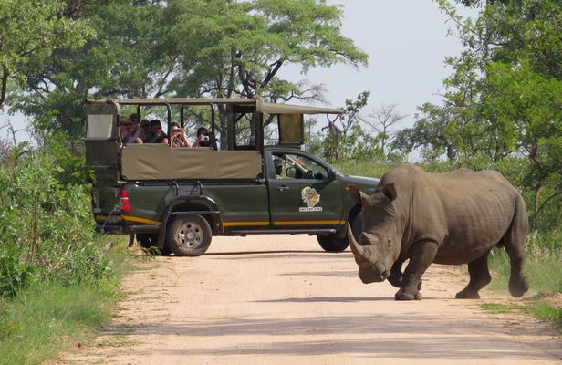Kruger National Park morning private safari