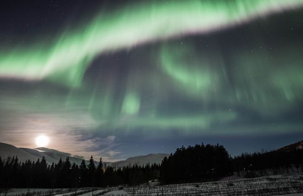 Luxury private Northern Lights photography tour