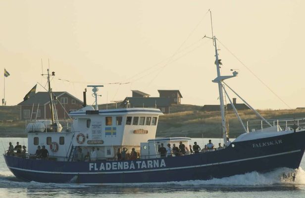 8-hour fishing tour from Varberg on Falkskär II boat