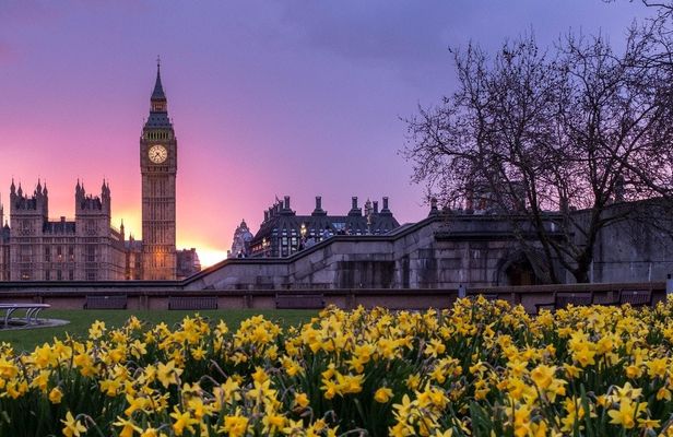 Full-day best of London private group car guided tour