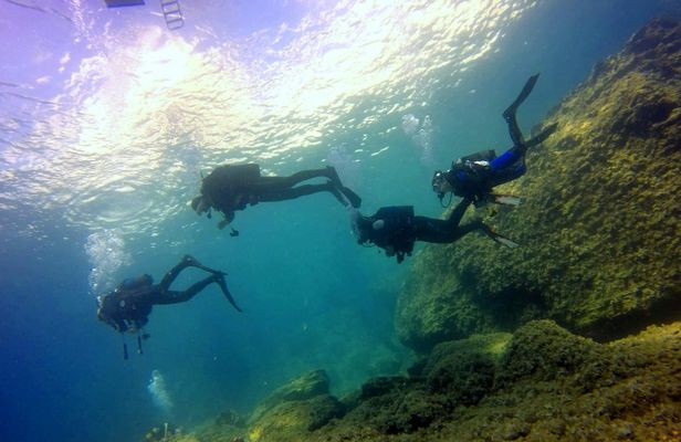 Scuba Diving Experience