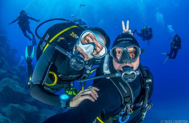 3-hour scuba diving experience in Tenerife